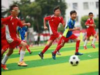 墨西哥VS厄瓜多尔直播_墨西哥VS厄瓜多尔免费直播_墨西哥 vs 厄瓜多尔
